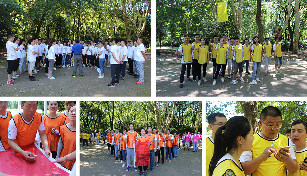 龍勝管拓展訓練燃爆夏日，我們“激情不減，活力無限”